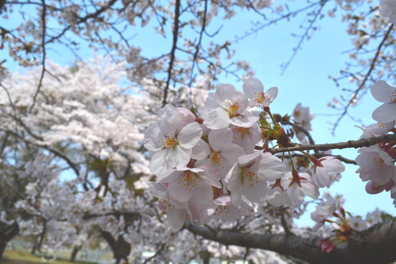 Fukuichi Otel Shibukawa Dış mekan fotoğraf